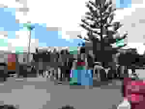 DSCN6881