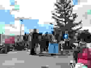 DSCN6882