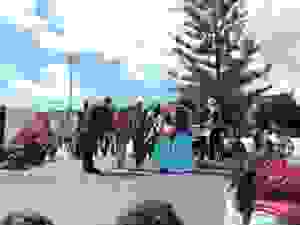 DSCN6883