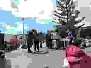 DSCN6884