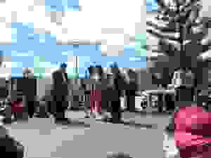 DSCN6885