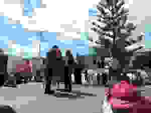 DSCN6886