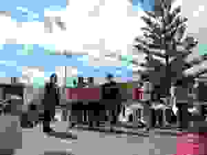DSCN6888