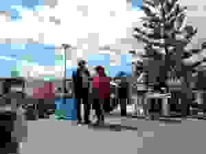 DSCN6891