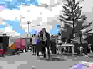 DSCN6897