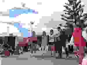 DSCN6906