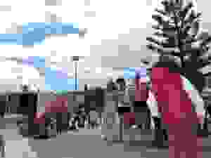 DSCN6907