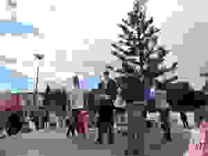 DSCN6908