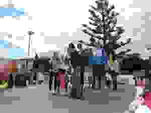 DSCN6909