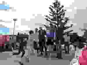 DSCN6911