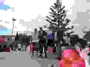 DSCN6912