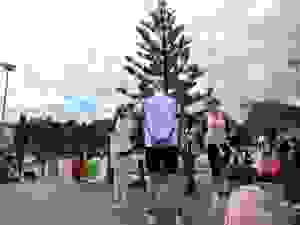 DSCN6913