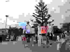 DSCN6916