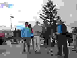 DSCN6936