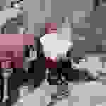 dion18
