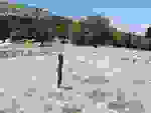 an16