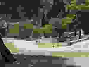 an19