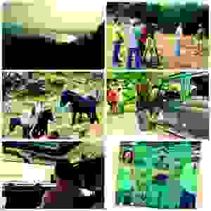 an1