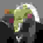 an5