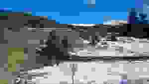 an11