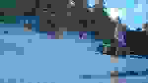 an7