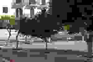 an