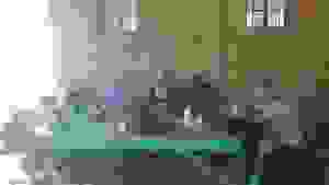 an