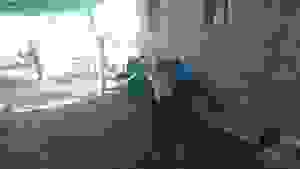 an3