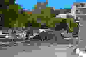 an1