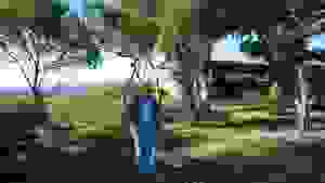 an9