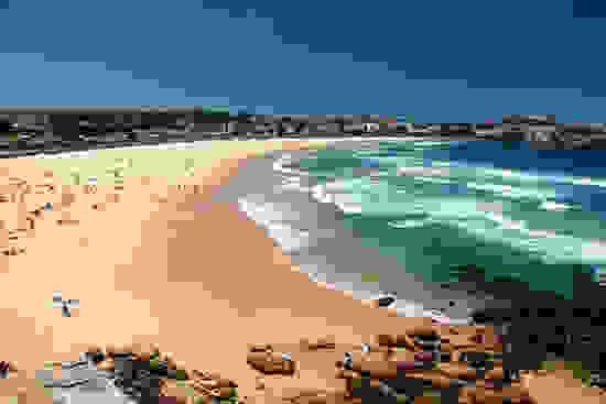 Paralia