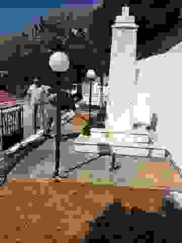 Arg3