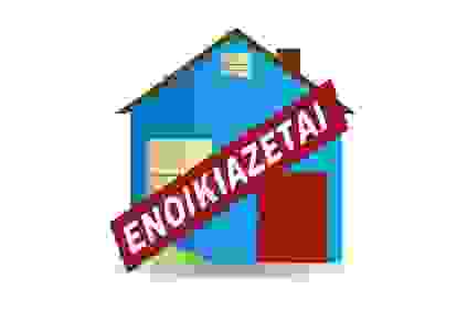 Det Enikiazete
