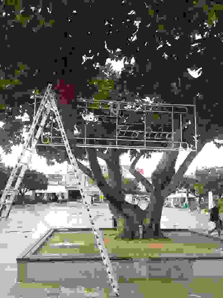 10836485_10205171273550768_1843813042_n