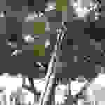 10846529_10205171262750498_1742699996_n