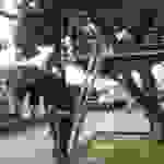10859648_10205171277350863_1874170371_n
