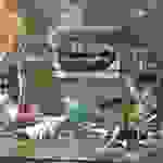 DSCN1905