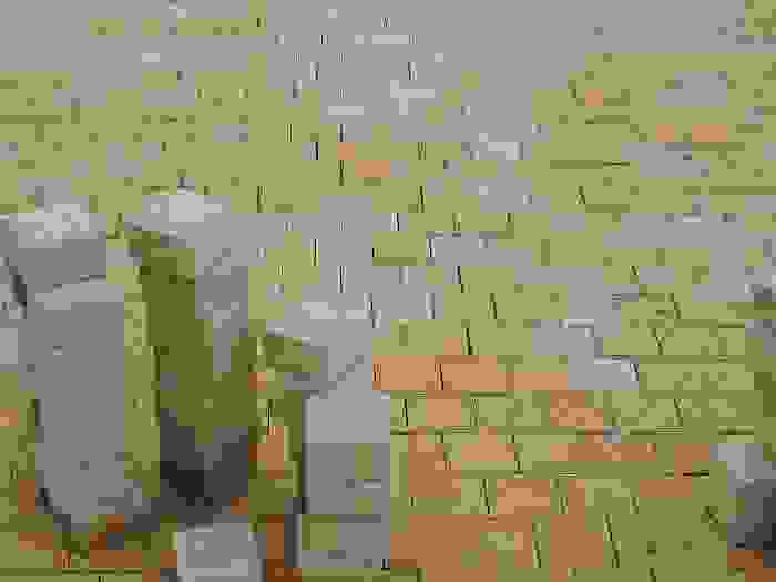 DSCN1948