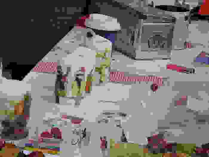 DSCN2268