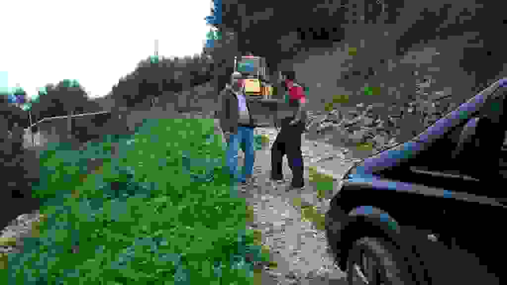 alex1