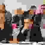 dim5