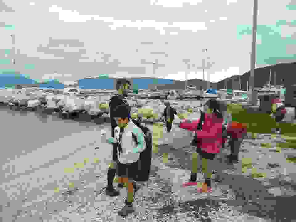 pros6