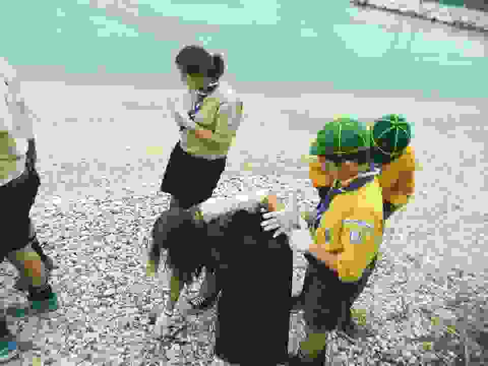 pros7