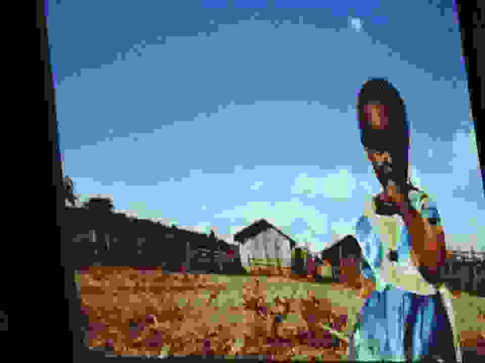 afr10