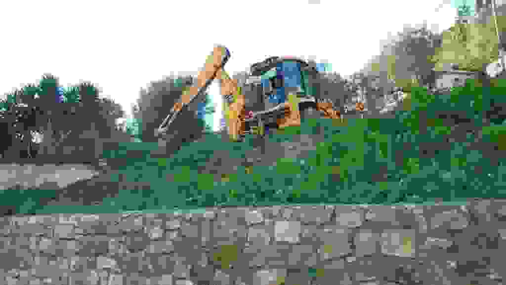 alex2