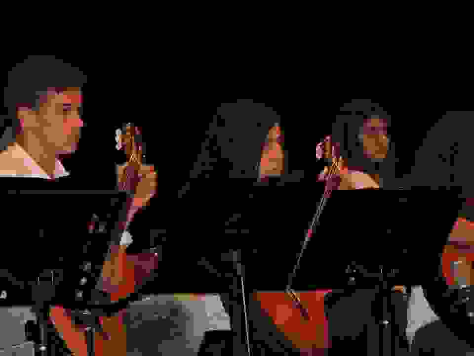 fil15