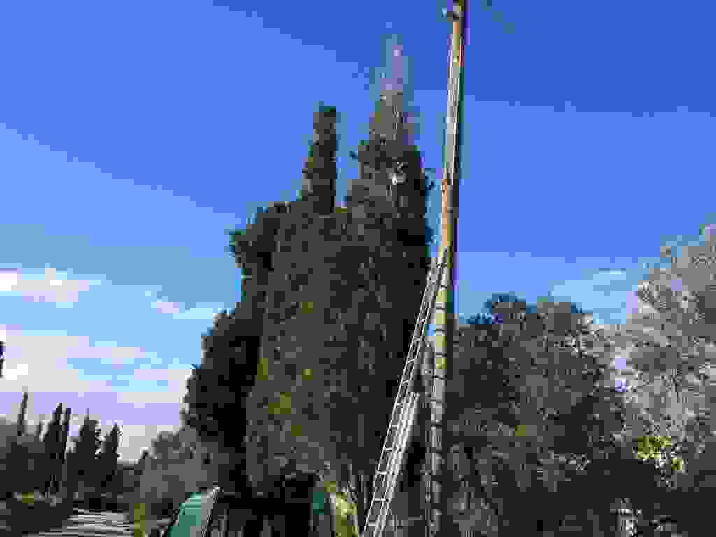 jer2
