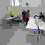 pav5