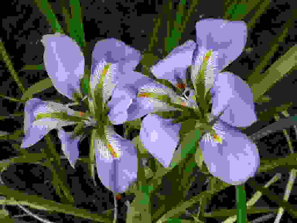 20121126_9999-blog