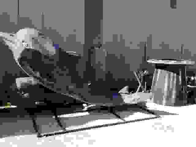 FullSizeRender (5)